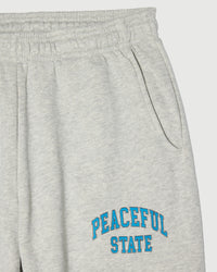 Peaceful Sweatpants - Ash